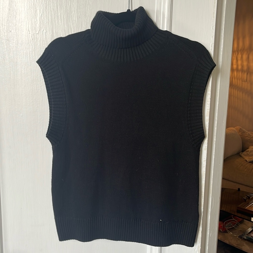 Everlane sleeveless turtleneck